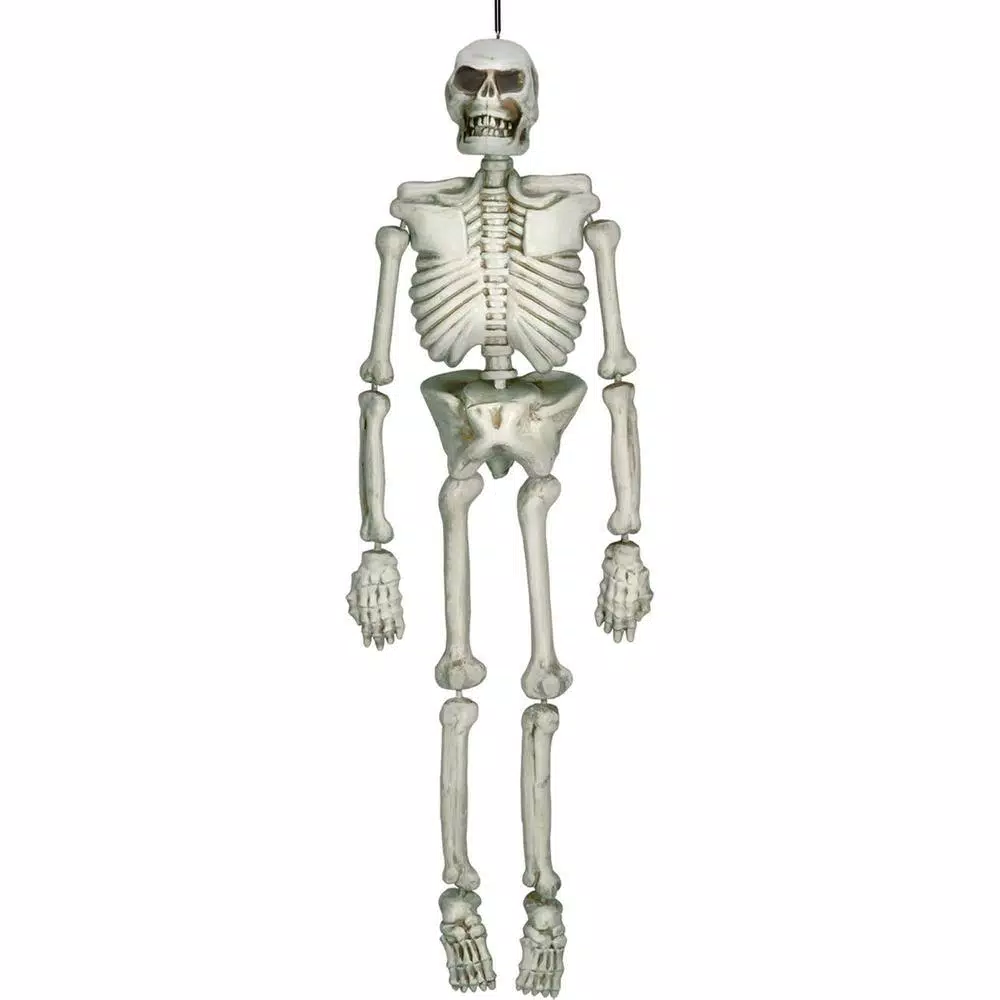 Amscan 54 in. Halloween Life Size Skeleton