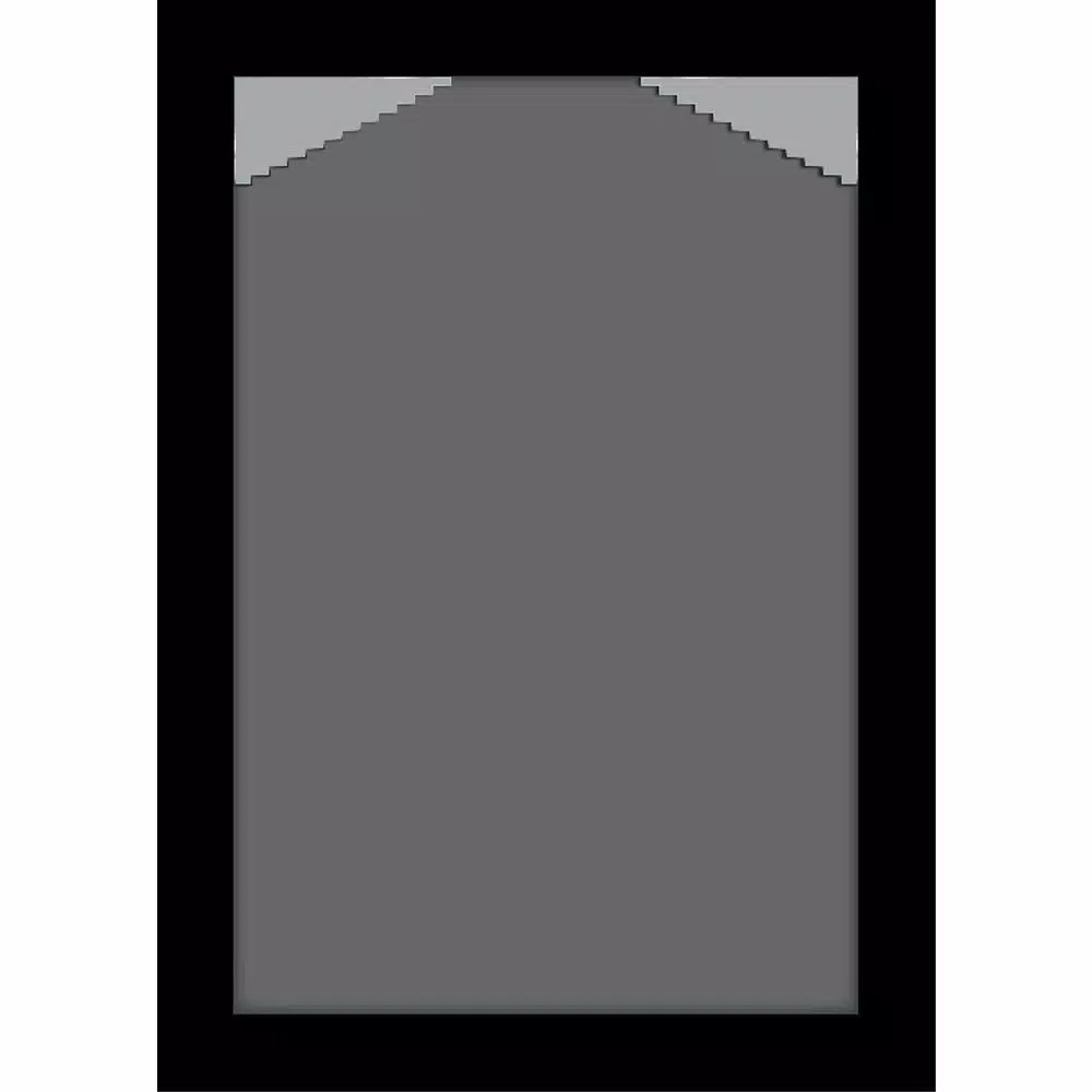 Pinnacle 4 in. x 6 in. Black Picture Frame