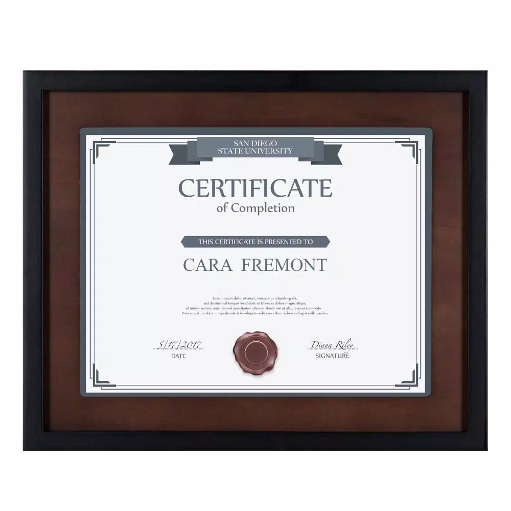 DesignOvation LeMans 8.5 in. x 11 in. Black/Walnut Brown Picture Frames (Set of 4)