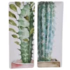 Certified International Cactus Verde 2-Piece Ceramic Rectangular Platter Set