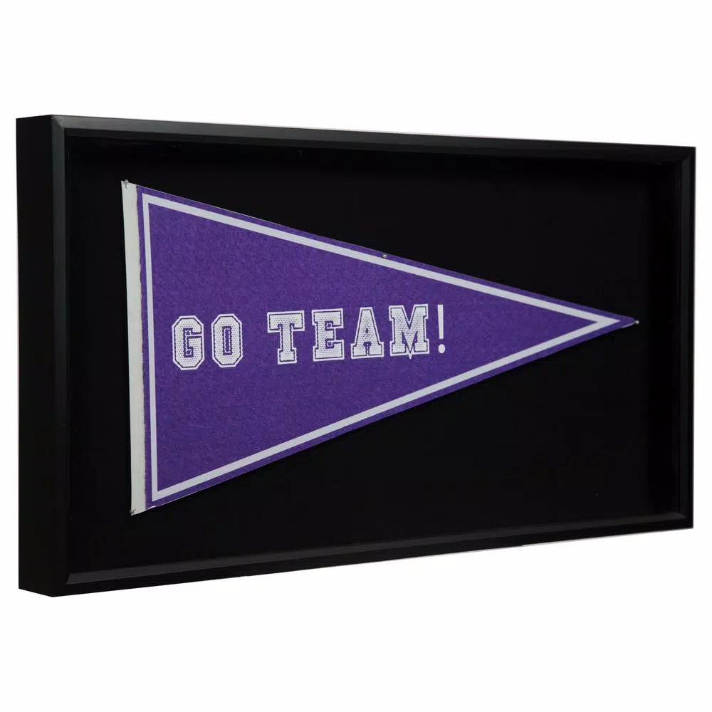 Pinnacle Pennant Display Case 13.7 in. x 7.7 in. Black Picture Frame