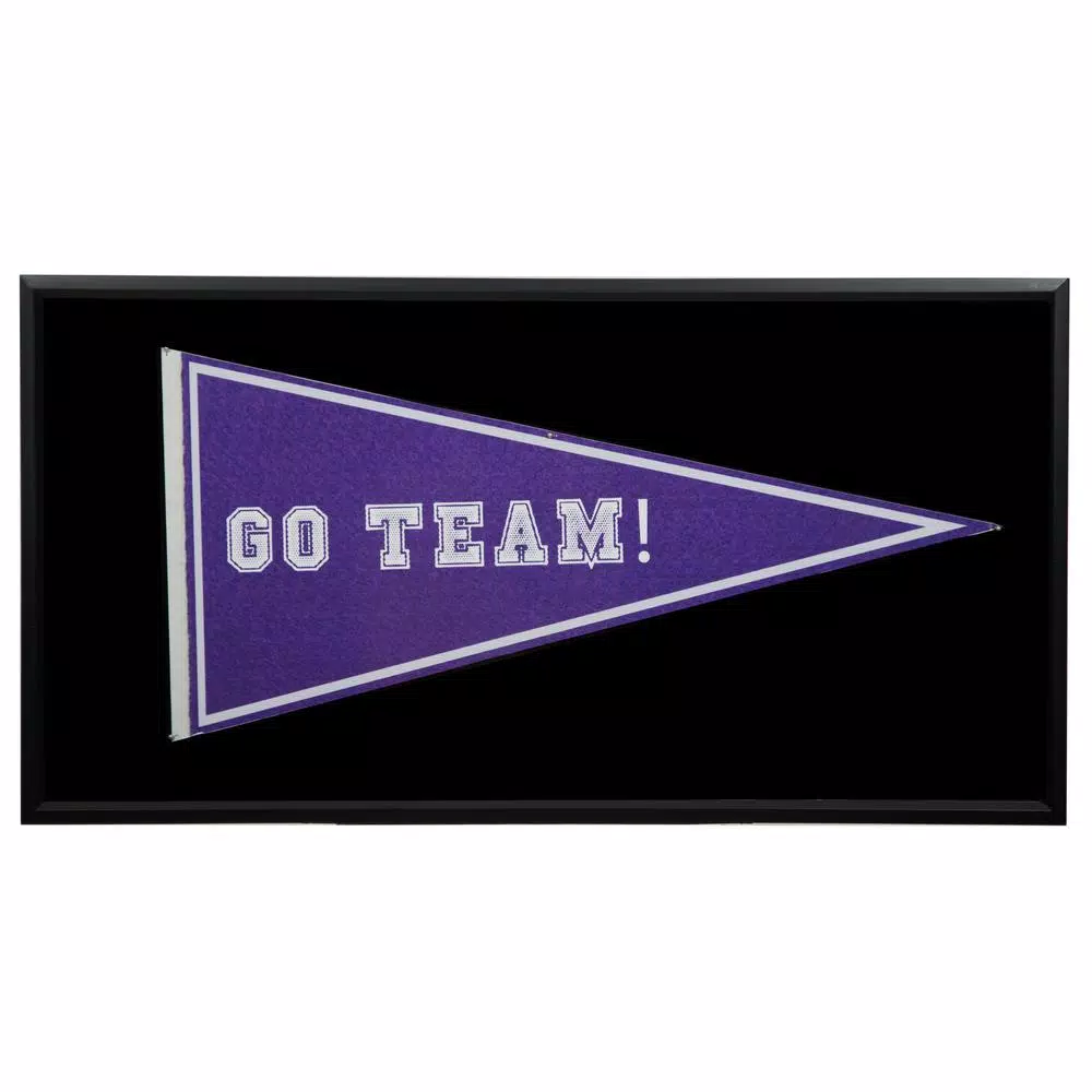 Pinnacle Pennant Display Case 13.7 in. x 7.7 in. Black Picture Frame