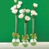 Two's Company 3-Sizes Sleek and Chic with Sage Green Ribbon Includes Clear Teardrop Vases (Set of 3)