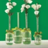 Two's Company 4-Sizes Sleek and Chic with Sage Green Ribbon Includes Clear Jug Vases (Set of 4)