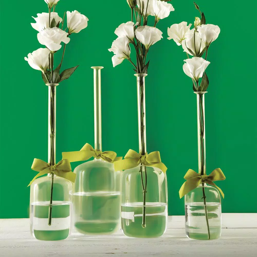 Two's Company 4-Sizes Sleek and Chic with Sage Green Ribbon Includes Clear Jug Vases (Set of 4)