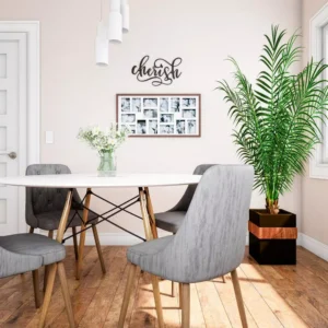 Lavish Home