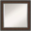 Amanti Art Cyprus Walnut 24.88 in. x 24.88 in. Bathroom Vanity Wall Mirror