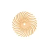Dedeco Sunburst 7/8 in. Radial Discs - 1/16 in. Extra-Fine 6 mic Arbor Rotary Cleaning and Polishing Tool (12-Pack)