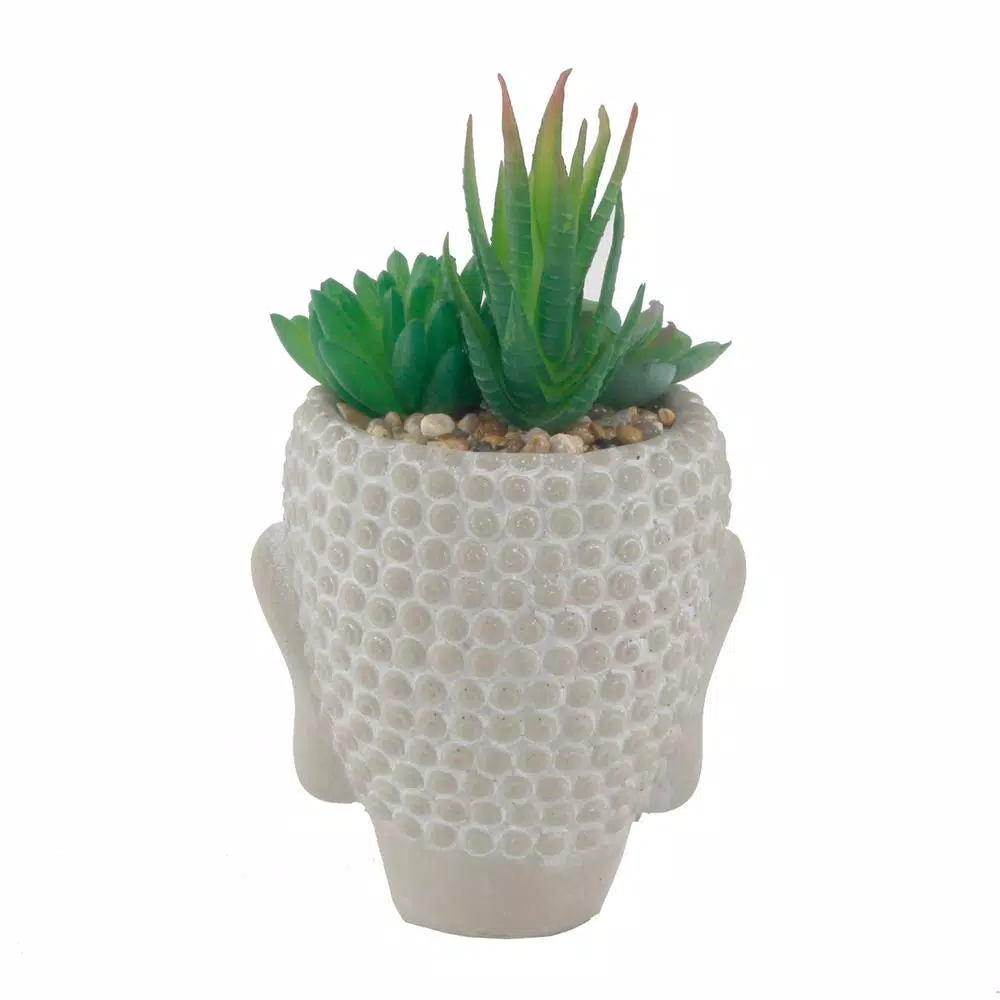 Flora Bunda 8 in. Faux Succulent Mix in Cement Budda Planter