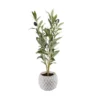 Flora Bunda 14 in. Faux Olive Branch in 4 in White Pineapple Pattern Cement Pot
