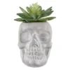 Flora Bunda 5 in. x 3 in. Halloween Artificial Succulent in Gray Cement Sugar Skull