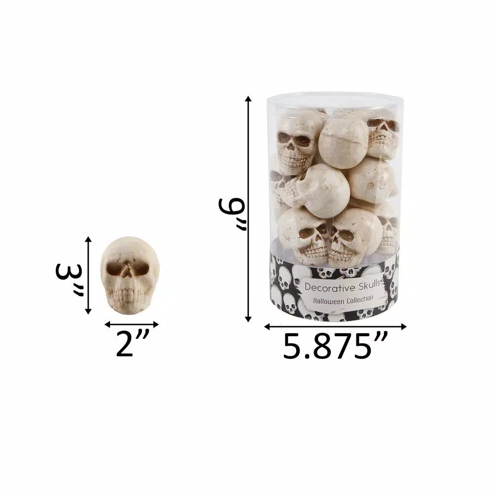 Flora Bunda 3 in. Halloween Mini Natural Plastic Skulls Fillers in PVC Gift Box (12-Pices Per Box)