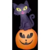Gemmy 5.5 ft. H Cat On Pumpkin-SM Scene Halloween Inflatable