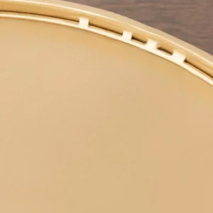 Home Decorators Collection Home Decorators Collection Gold Metal Decorative Round Mirror Tray