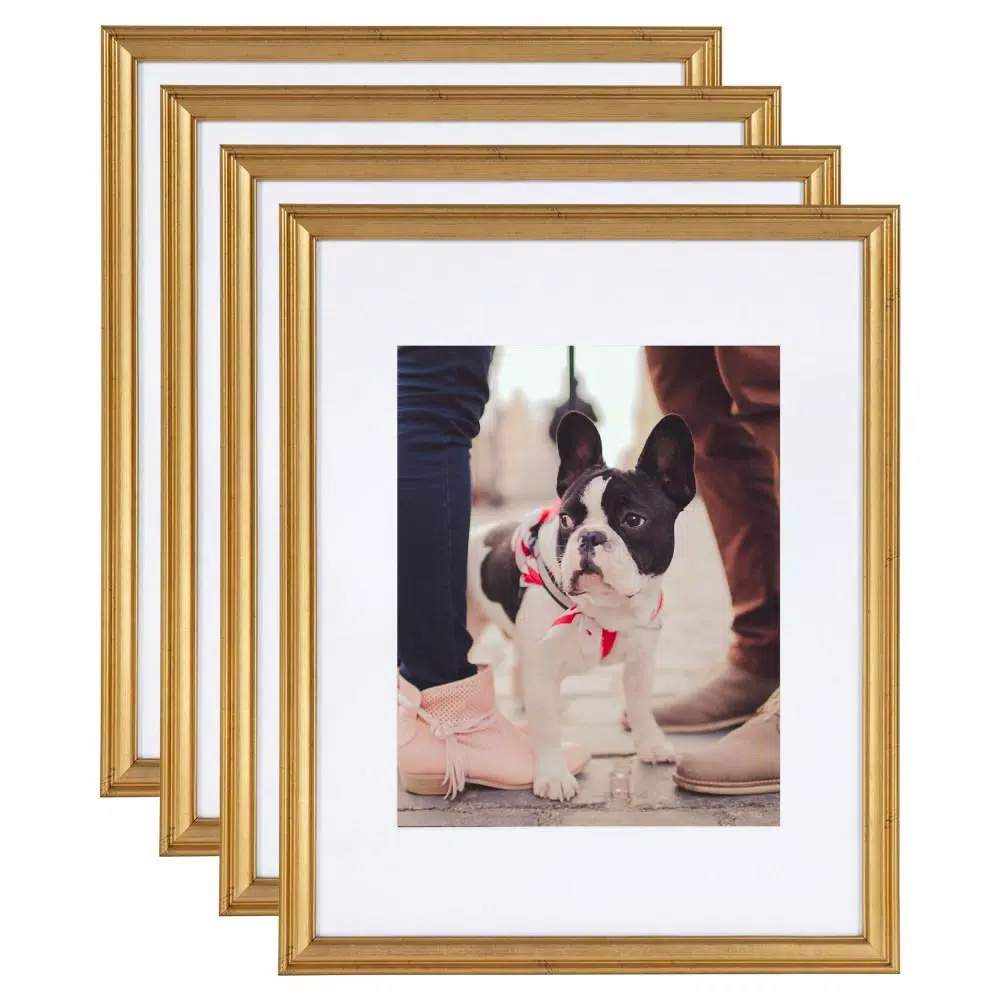 Kate and Laurel Adlynn 11 in. x 14 in. matted to 8 in. x 10 in. Gold Picture Frames (Set of 4)