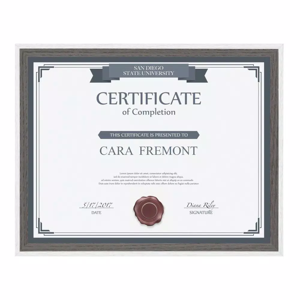 Kate and Laurel Gibson 8.5 in. x 11 in. Gray/White Picture Frames (Set of 4)