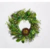 Worth Imports 24 in. Green Leaves Berries and Nest Wreath on Natural Twig Base