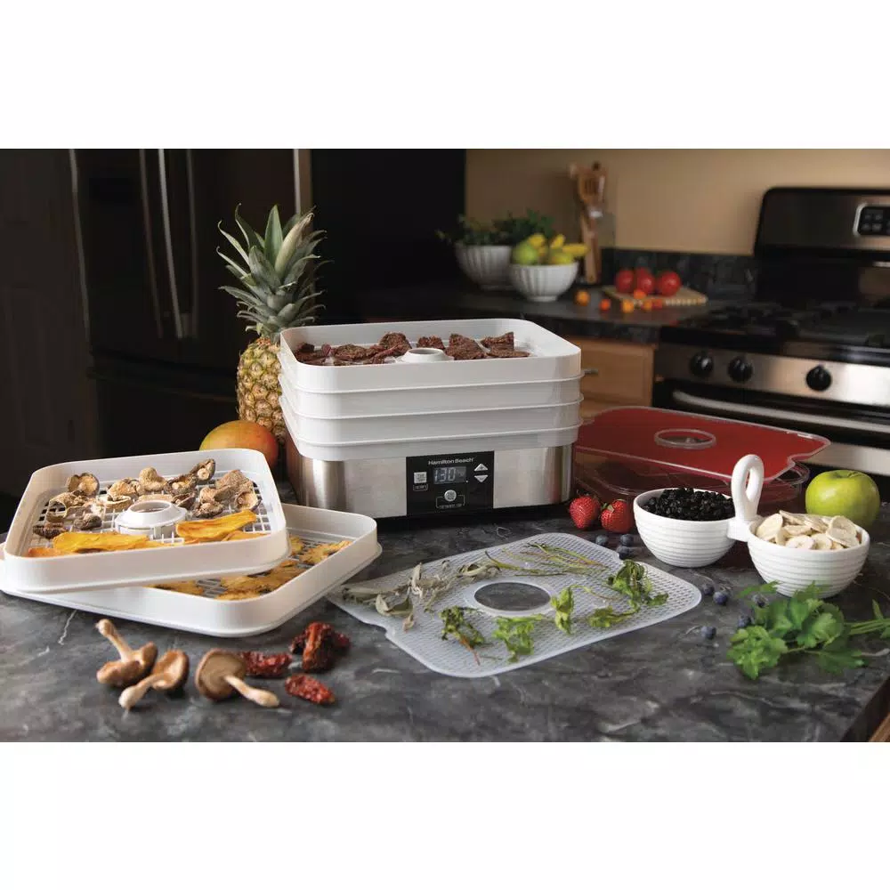 Hamilton Beach 5-Tray Grey Food Dehydrator Stackable Drying Trays