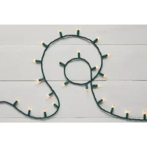 Home Accents Holiday 300 Light STS Clear Heavy Duty Light String (Set of 2)