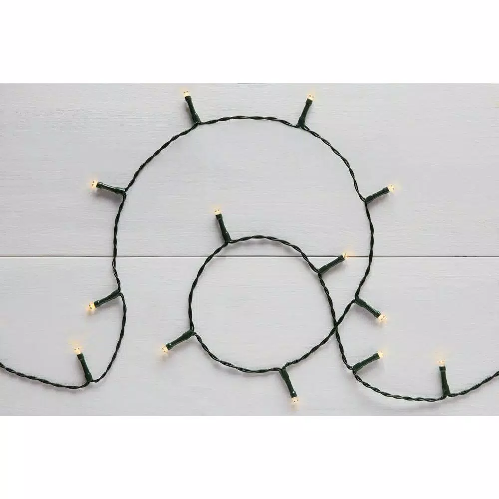 Home Accents Holiday 26 ft. 100-Light White LED Battery-Operated Light String with Timer, 8-Functions