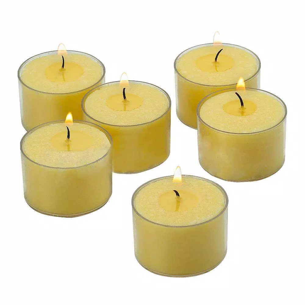 Light In The Dark Ivory Unscented Tealight Candles with Clear Cups (Set of 36)