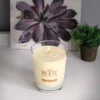 ROOT CANDLES Veriglass Sparkling Champagne Scented Filled Jar Candle