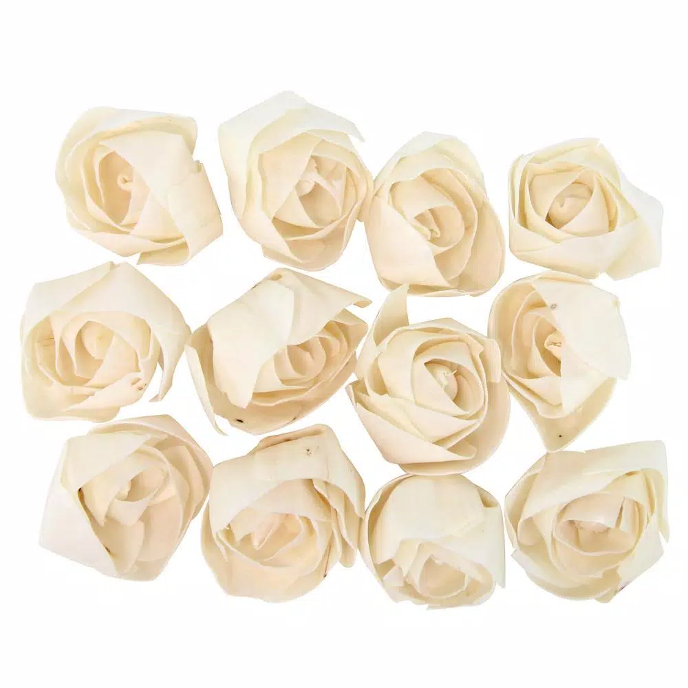LITTON LANE White Sola Boxed Carnation and Ranunculus Flowers (Set of 2)
