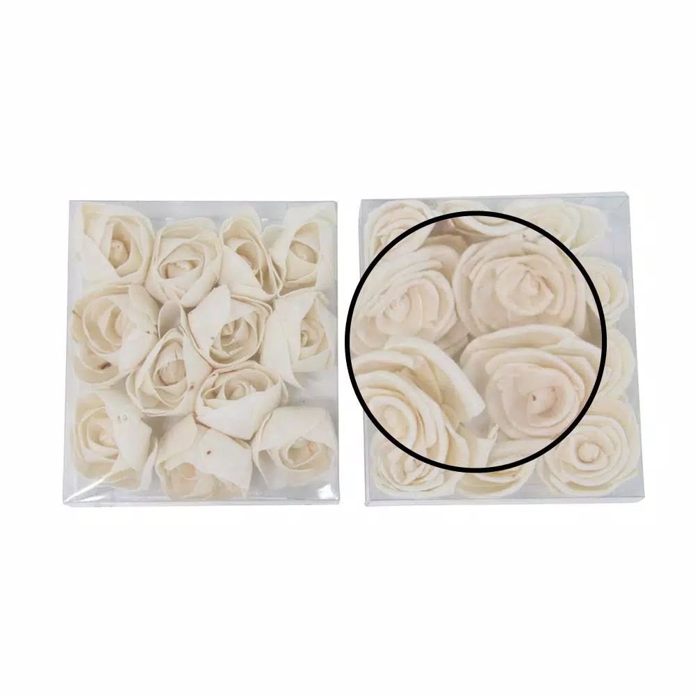 LITTON LANE White Sola Boxed Carnation and Ranunculus Flowers (Set of 2)