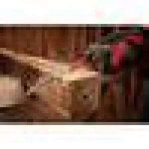 Milwaukee SAWZALL Demolition Wood and Metal Cutting Reciprocating Saw Blade Set (13-Piece) w/ 9 in. AX Carbide Teeth Blade