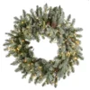 National Tree Company 24 in. Artificial Christmas Feel Real Snowy Morgan Spruce Wreath with 200 Dual Color LED Cosmic Lights