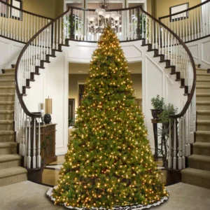 National Tree Company 14 ft. Feel Real Downswept Douglas Fir Hinged Artificial Christmas Tree with 1600 Dual Color LED Lights