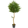 Nearly Natural 58 in. Indoor/Outdoor Olive Topiary Artificial Tree