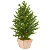 Nearly Natural Indoor/Outdoor 35-In. Olive Cone Topiary Artificial Tree in Terra Cotta Planter