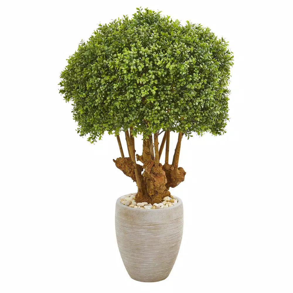 Nearly Natural Indoor/Outdoor 41 In. Boxwood Artificial Topiary Tree in Sandstone Planter