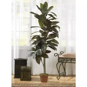 Nearly Natural Indoor 5 ft. Cordyline