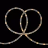 Northlight 18 ft. Warm White LED Indoor/Outdoor Christmas Rope Lights with 2 in. Bulb Spacing