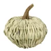 Northlight 10 in. White Autumn Harvest Woven Pumpkin Decoration