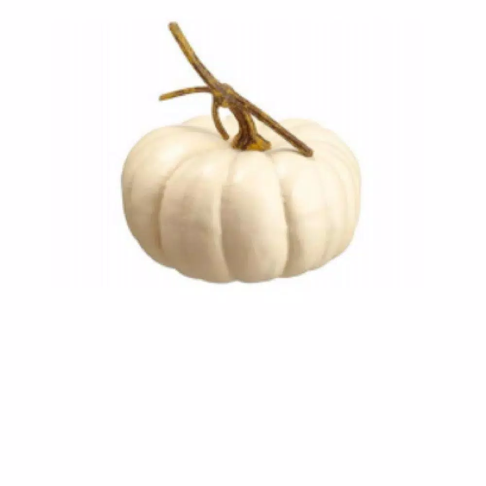 Northlight 8 in. Cream Flat Round Pumpkin Fall Harvest Table Top Decoration