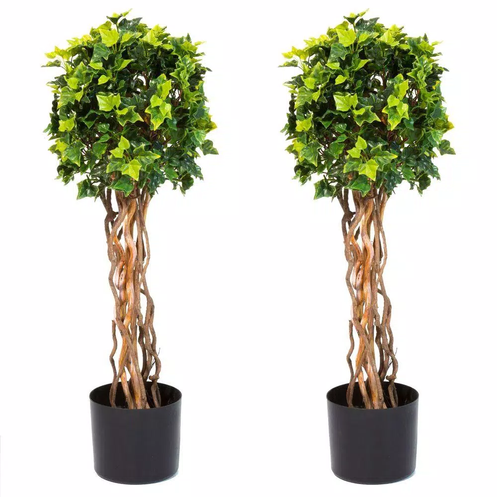 Pure Garden 30 in. English Ivy Single Ball Topiary Tree (2-Pack)