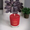 ROOT CANDLES Veriglass Hollyberry Scented Filled Jar Candle