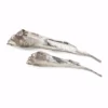 IMAX Crowder Decorative Organic Trays (Set of 2)