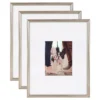 Kate and Laurel Adlynn 16 in. x 20 in. matted to 8 in. x10 in. Silver Picture Frames (Set of 3)