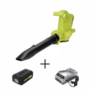 Sun Joe 200 MPH 350 CFM 40-Volt Cordless Electric Handheld Leaf Blower/Vacuum/Mulcher Kit with 5.0 Ah Battery + Charger