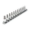 TEKTON 3/8 in. Drive Torx Bit Socket Set (12-Piece)