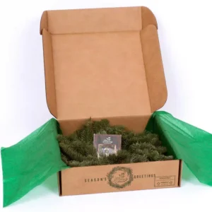 VAN ZYVERDEN 16 in. Live Fresh Cut Pacific Northwest Noble Fir Christmas Wreath with Cones