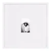 DesignOvation Gallery 17 in. x 17 in. matted to 4 in. x 6 in. White Picture Frame