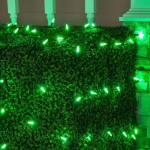 Wintergreen Lighting 48 in. x 72 in. 100-Light M5 LED Green Net Light Set