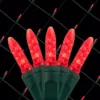 Wintergreen Lighting 48 in. x 72 in. 100-Light M5 LED Red Net Light Set