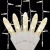 Wintergreen Lighting 7 ft. 70-Light M5 LED Warm White Twinkle Icicle Light Set