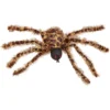 Worth Imports 22 in. Brown Spider With Lighted Eyes (Set of 2)